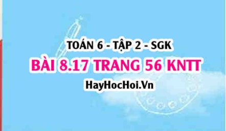 Bài 8.17 trang 56 Toán 6 Tập 2 Kết nối tri thức